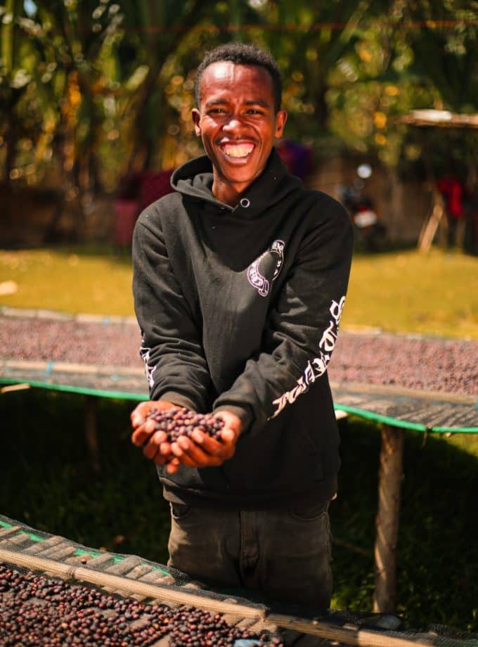 Ethiopia - Queen of Sheba - Washed